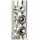 Yamaha Plutus YFL PLU1II