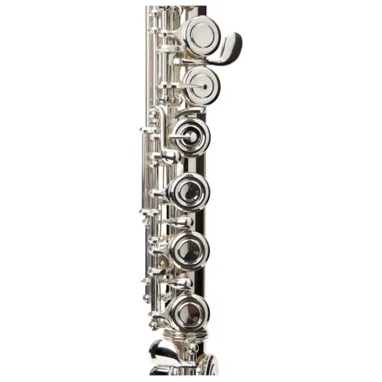 Yamaha Plutus YFL PLU1II
