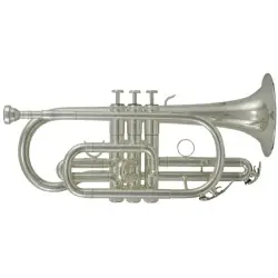 ROY BENSON CR 202S