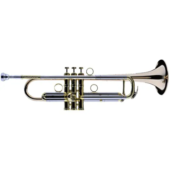 Schagerl JM2L
