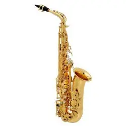 Buffet Crampon Serie 100 BC8101 1 0