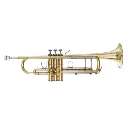 B&S Challenger I 3137 Yellow Brass