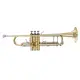 B&S Challenger I 3137 Yellow Brass