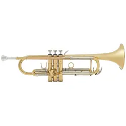 Besson Be 110 1 0