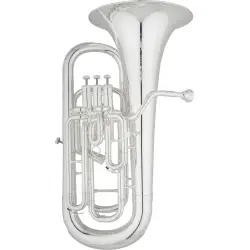 Eastman Professional EEP624S Silver Plated