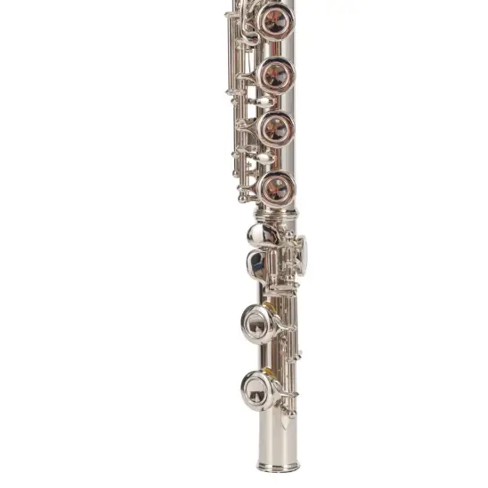 Amadeus FL805N