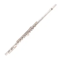 Amadeus FL805SO