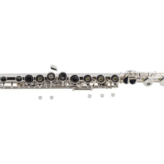 Amadeus FL805SO