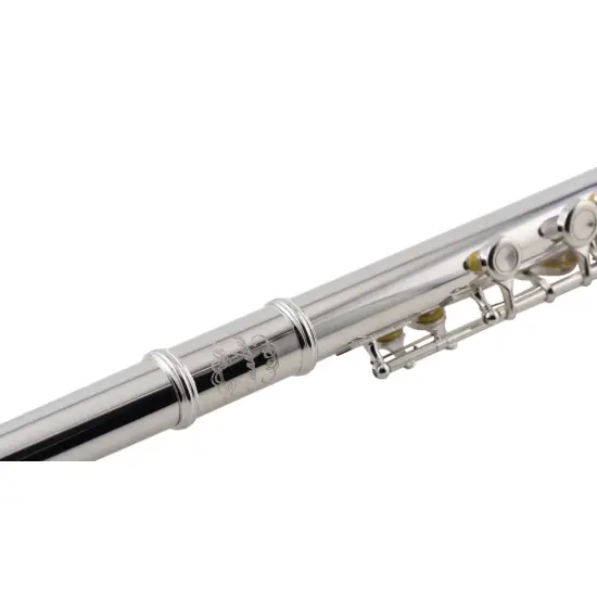 Amadeus FL805SO