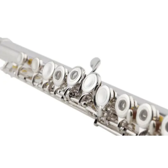 Amadeus FL805SO