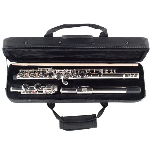 Amadeus FL805SO