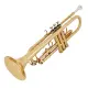 Amadeus TP 807L Gold Bb