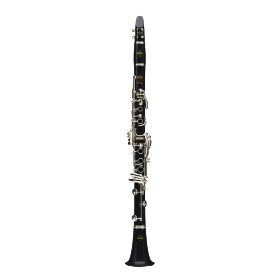 Buffet Crampon Prodige Bb 18/6 BC2541L 2 0GB