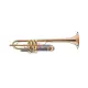 Schagerl TR 620CL