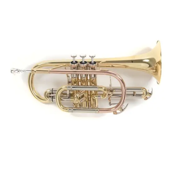 ROY BENSON Sib CR 302