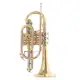 ROY BENSON Sib CR 302