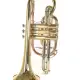 ROY BENSON Sib CR 302