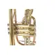ROY BENSON Sib CR 302