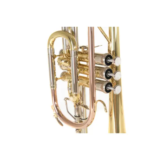 ROY BENSON Sib CR 302