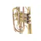 ROY BENSON Sib CR 302