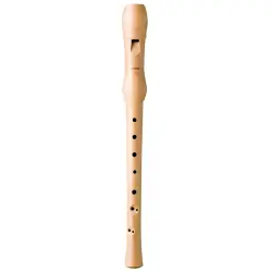 Hohner 9560
