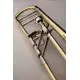 S.E. Shires Q Series TBQ30YR