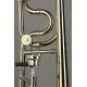 S.E. Shires Q Series TBQAlessi