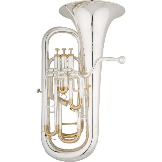 Eastman Professional EEP624GS Gold Plated Slides