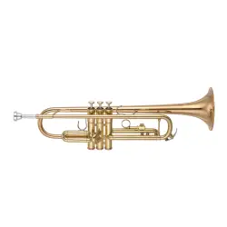 Yamaha Commercial YTR 8335RC
