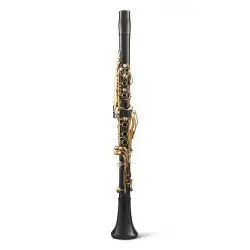 BACKUN Lumière Grenadilla 17 Gold Keys