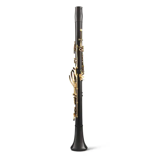 BACKUN Lumière Grenadilla 17 Gold Keys