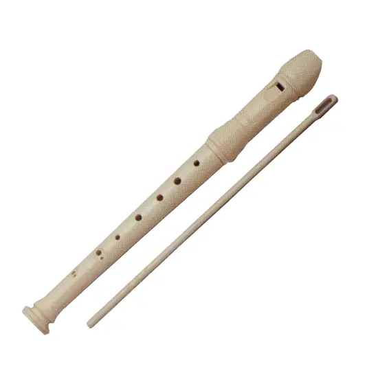 HONSUY Concept Plastic Recorder