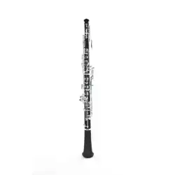 EG REEDS Beginner