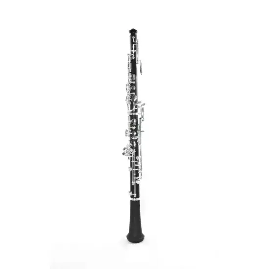 EG REEDS Beginner