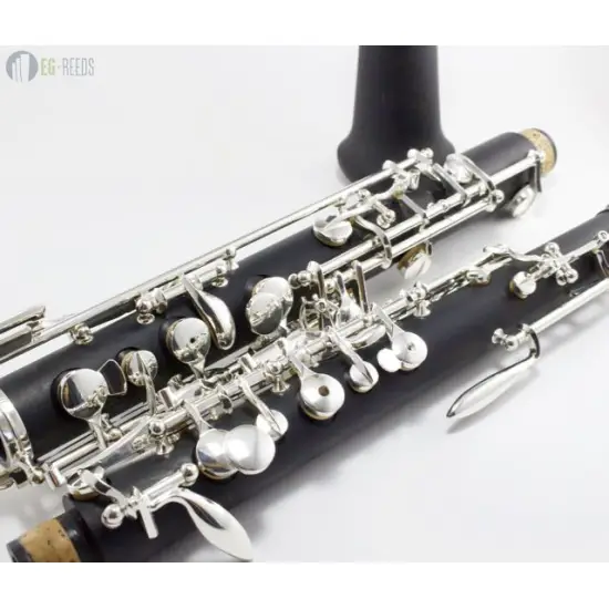 EG REEDS Beginner
