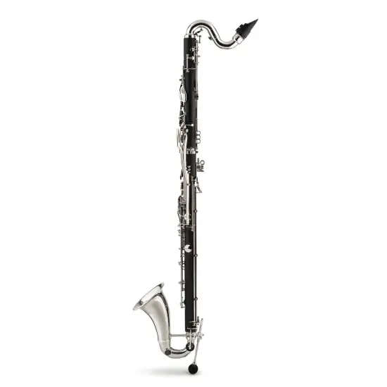 BACKUN Alpha Bass