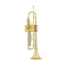 S.E. Shires Model A100