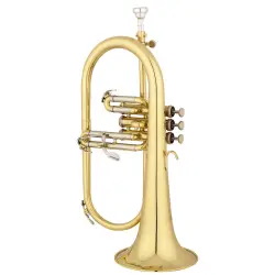 Eastman EFG422
