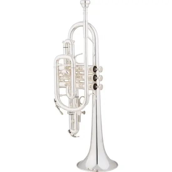 Eastman ECN223S