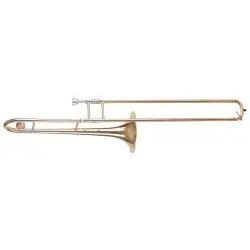 Amadeus TT811L Lacado