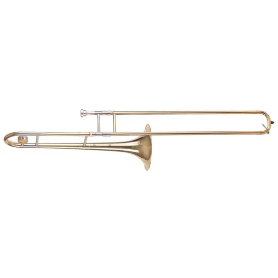 Amadeus TT811L Lacado