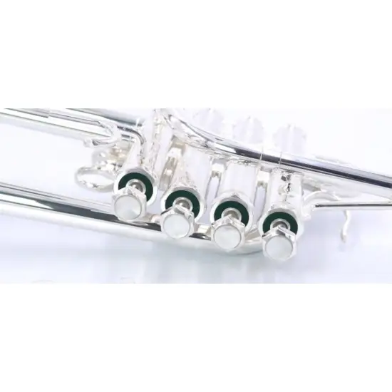 Schilke P5 4BG