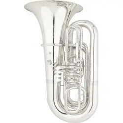 Eastman EBB623
