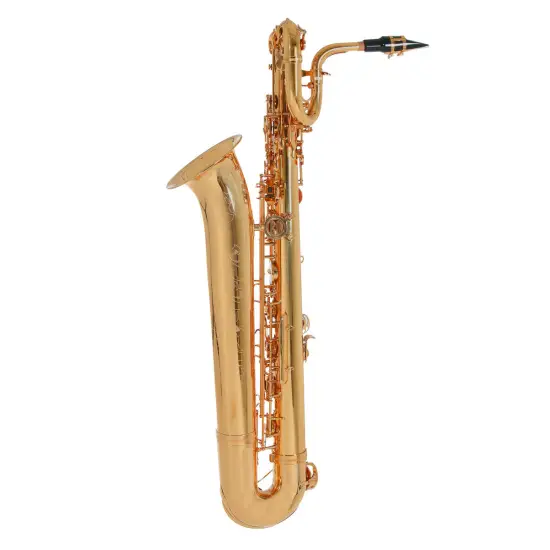 ROY BENSON BS 302