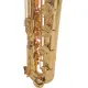 ROY BENSON BS 302