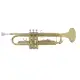 Amadeus TR600 Gold