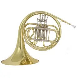 Amadeus FH550