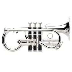 Besson Sovereign BE924G 2 0 Silver Plated