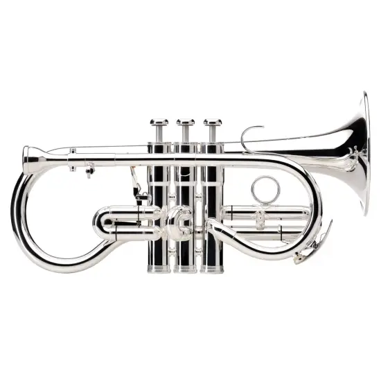 Besson Sovereign BE924G 2 0 Silver Plated