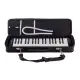 Amadeus 37K Preta